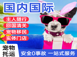 东极航空货运国际宠物托运 【国